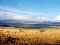 14 - Ngorongoro